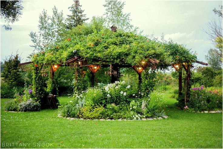 photo by Brittany Shook Photography